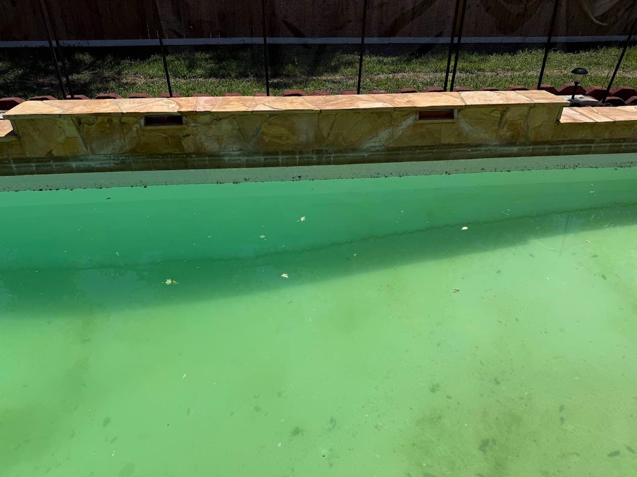 Pool before sandblasting, green algae covered water and stained coping