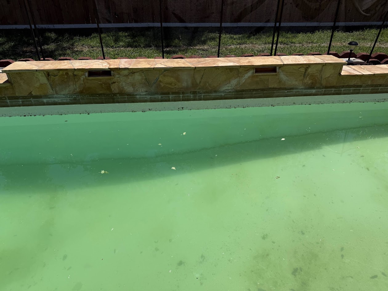 Pool before sandblasting, green algae covered water and stained coping