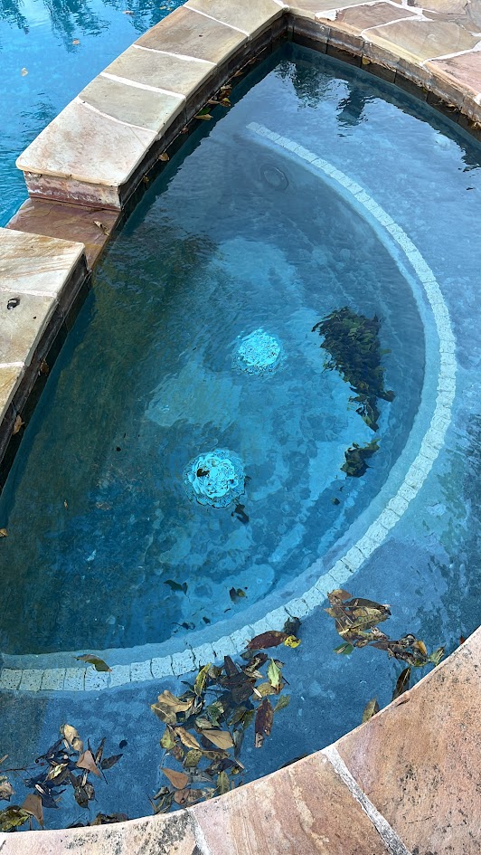 Pool Replaster, QuartzScapes Mariner Blue and Custom Dolphin Mosaic, CHR Builder Renovation project in Katy/Houston area, TX