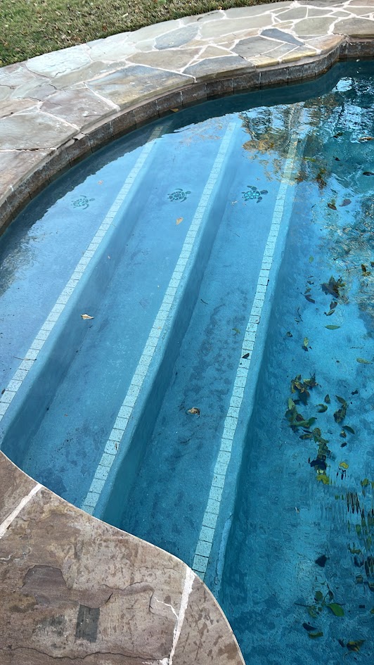 Pool Replaster, QuartzScapes Mariner Blue and Custom Dolphin Mosaic, CHR Builder Renovation project in Katy/Houston area, TX