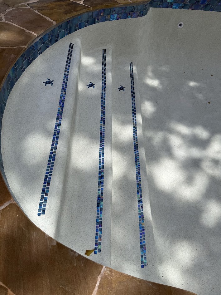Pool Replaster, QuartzScapes Mariner Blue and Custom Dolphin Mosaic, CHR Builder Renovation project in Katy/Houston area, TX